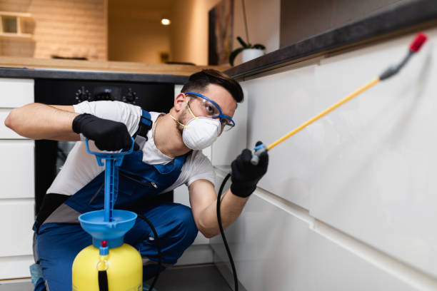 Best Rat Extermination Near Me  in Watchung, NJ