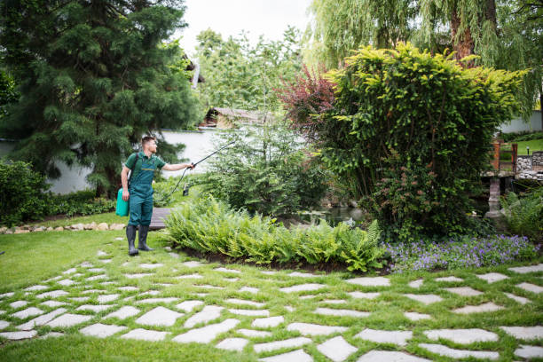 Best Local Pest Control Services  in Watchung, NJ