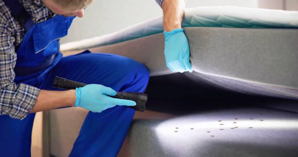 Best Cockroach Control Services  in Watchung, NJ