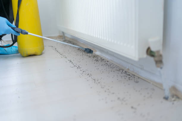 Best Wasp Removal Services  in Watchung, NJ