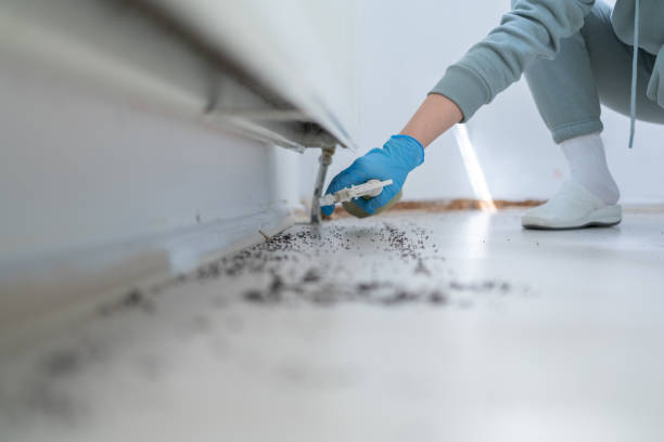 Best Pest Inspection Near Me  in Watchung, NJ